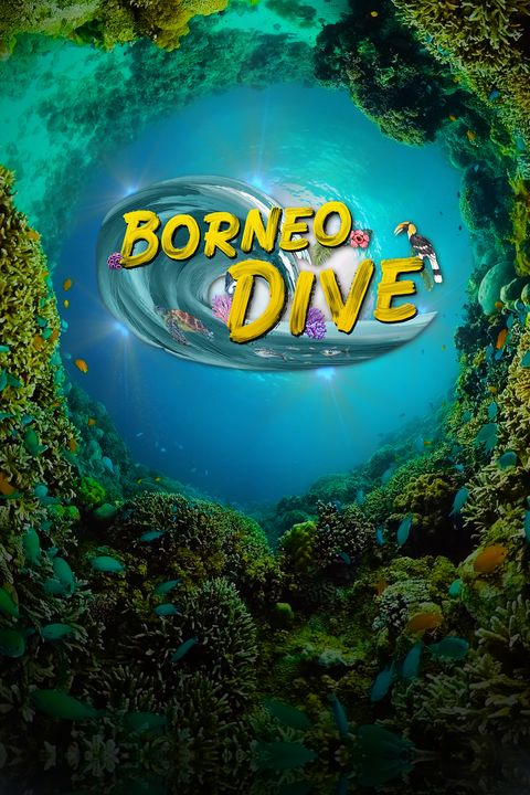 Borneo Dive