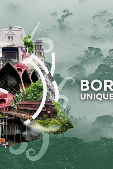 Borneo's Unique Building