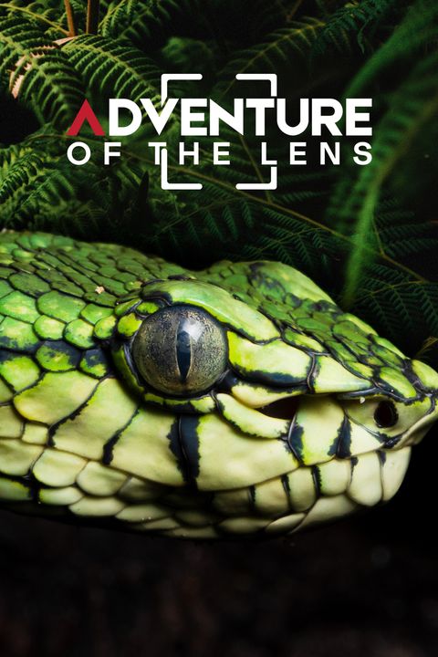 Adventure of The Lens
