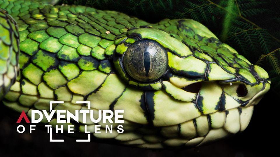Adventure of The Lens