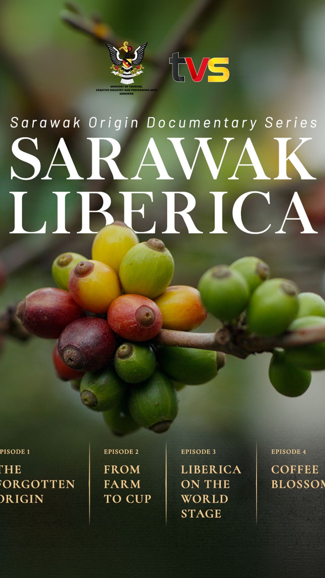 Sarawak Origin - Sarawak Liberica
