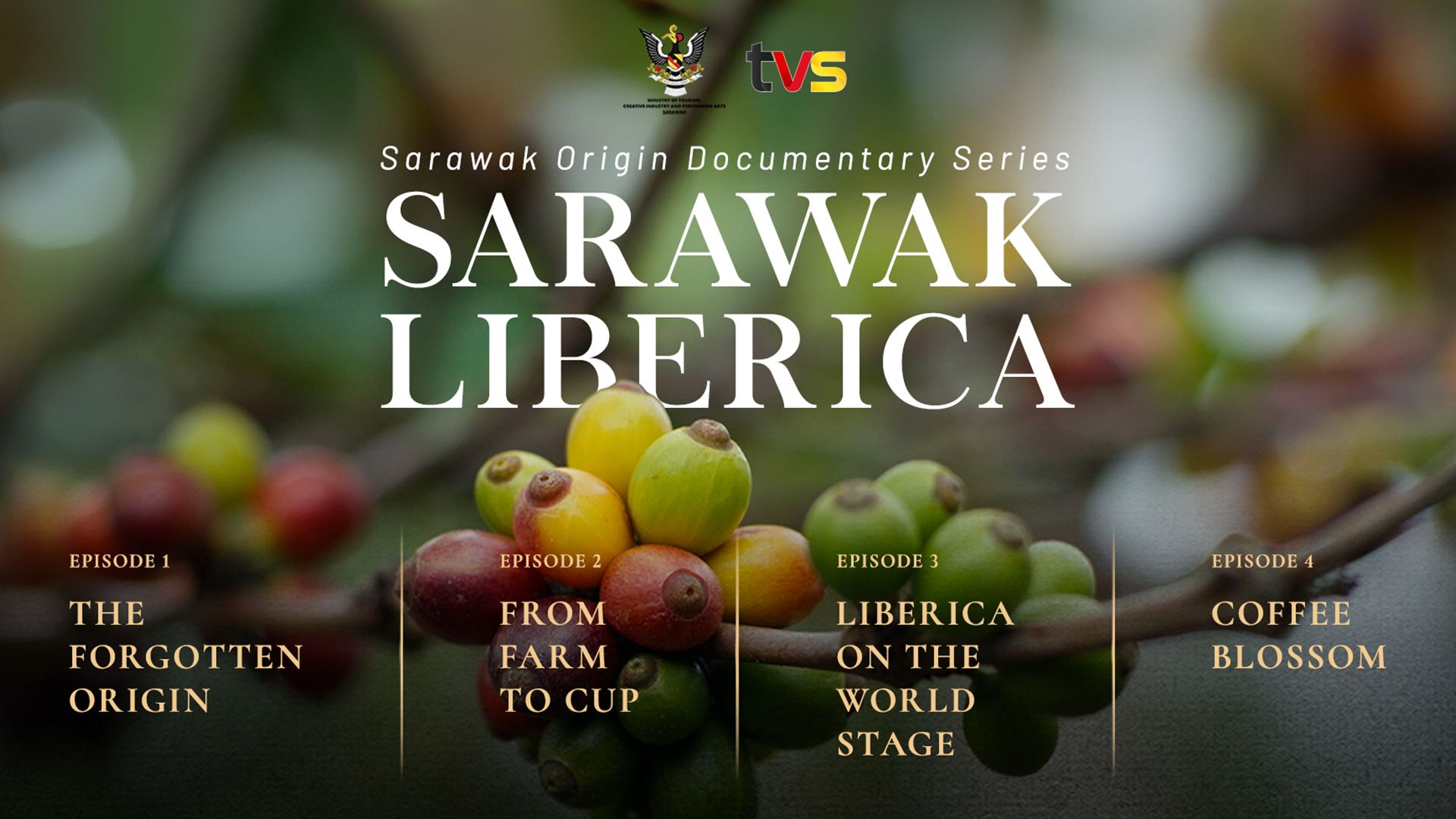 Sarawak Origin - Sarawak Liberica