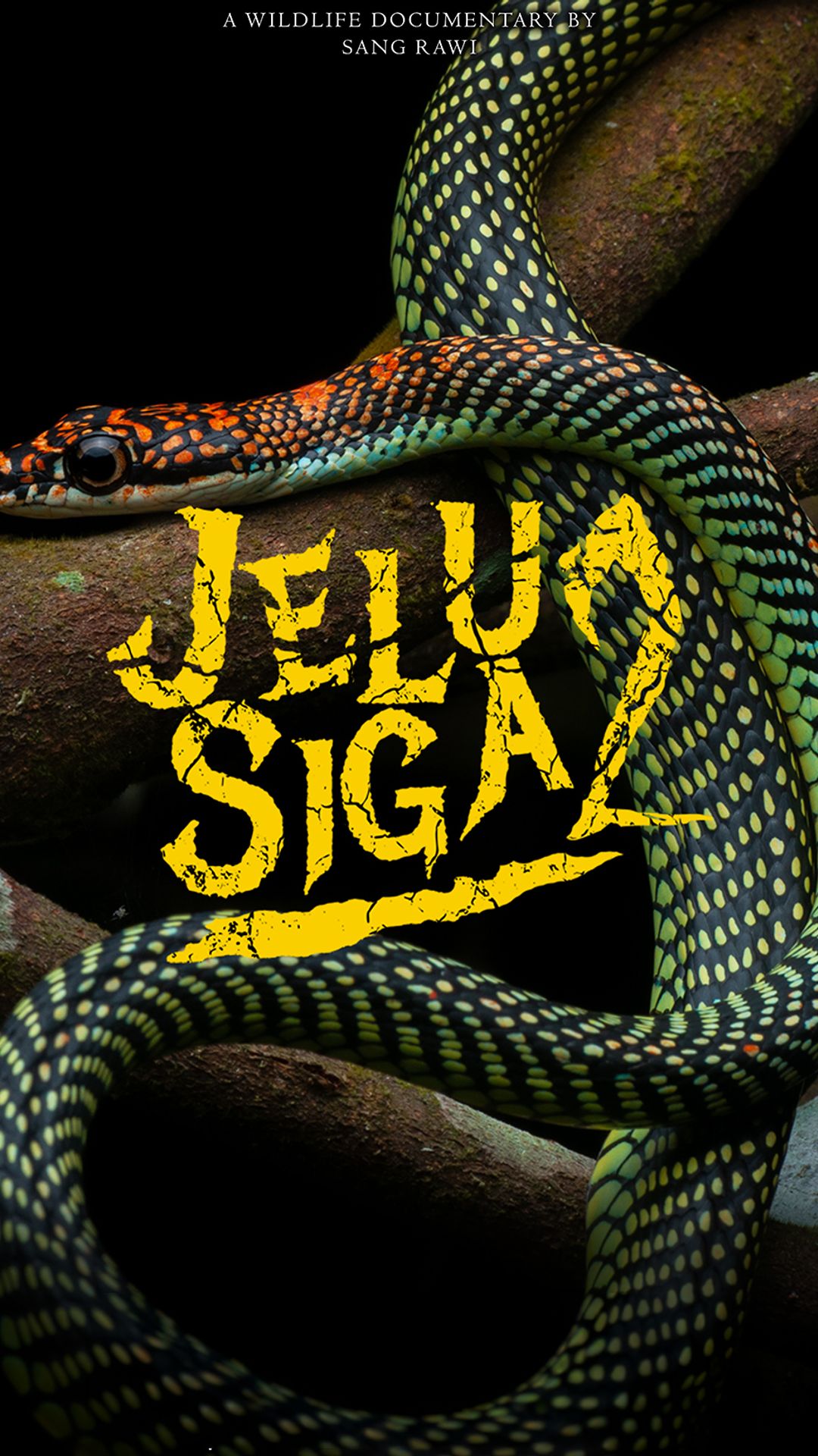 Jelu Siga S2