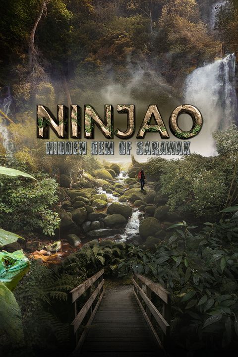 Ninjao S2