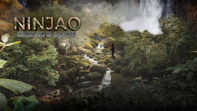 Episode 1